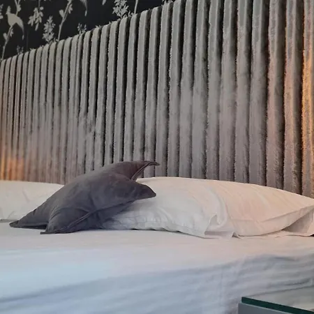 - Gym, Pool & 塞拉耶佛